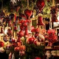 Visite de la jardinerie : Los Peñotes - Vendredi 1er décembre 2023 de 10h30 à 13h00