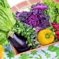 Atelier nutrition - Lundi 8 mars 2021 de 11h00 à 14h00