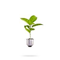 &#128187; Dépasser le développement durable : redevenir des Terriens - Mardi 9 mars 2021 de 19h30 à 21h00