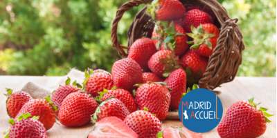 Cueillette de fraises - Samedi 24 mai de 10h30 à 12h30