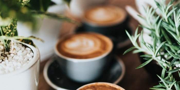 ⛔ Café de quartier centre II