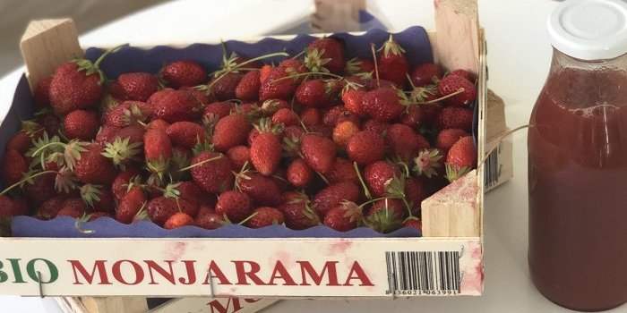 &#128683; Cueillette de fraises