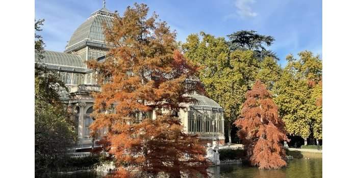 Marche sportive au Retiro