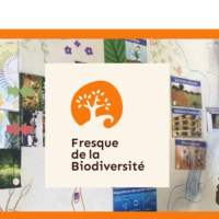 Découvrez La Fresque de la Biodiversité - Lundi 26 mai de 13h30 à 16h30