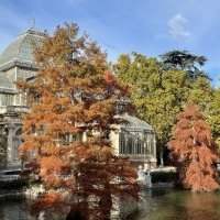 Marche sportive au Retiro - Mercredi 4 septembre 2024 de 10h00 à 11h00