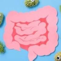 Comment prendre soin de son microbiote ? - Jeudi 27 mars de 10h00 à 11h30