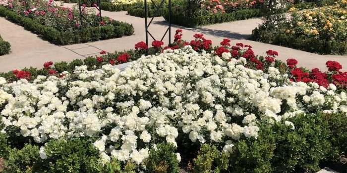 Le jardin du Retiro