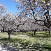 La Quinta de los Molinos - Mardi 28 février de 12h00 à 13h30