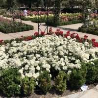 Le jardin du Retiro - Mardi 6 octobre 2020 de 10h00 à 11h30