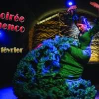 Soirée FLAMENCO - Jeudi 29 février 2024 de 21h00 à 22h30