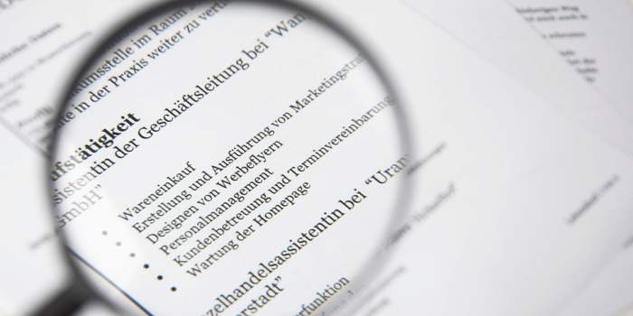 &#128187; Le CV à la loupe