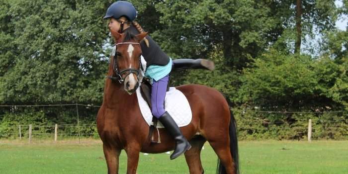 Initiation à l'équitation pour les enfants 