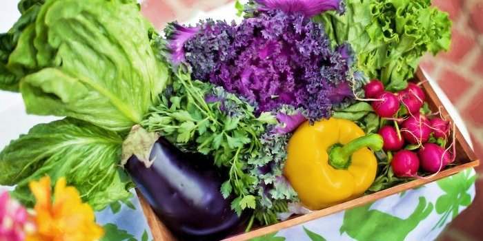 ⛔ Atelier nutrition