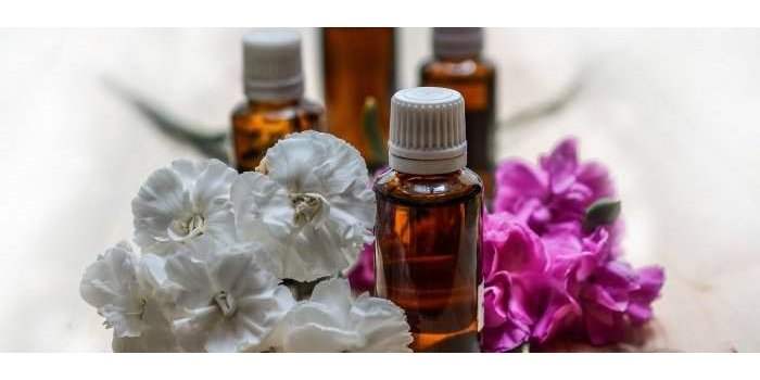 Atelier huiles essentielles : Eucalyptus radié