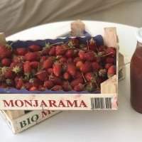 &#128683; Cueillette de fraises - Jeudi 21 mai 2020 de 11h00 à 13h00