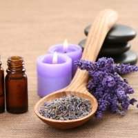 Atelier Huiles Essentielles : Lavande vraie - Lundi 25 septembre 2023 de 10h30 à 12h00