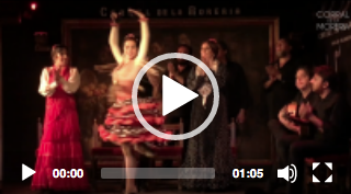 Impossible de lire la video